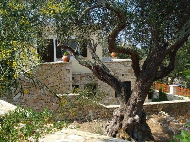 Villa Loulaki Magazia Paxi Arvanitakeika 외부 사진