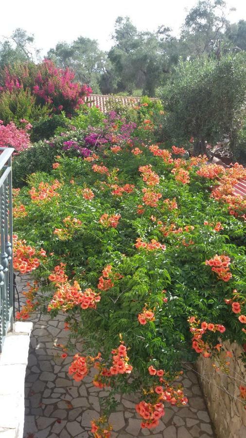 Villa Loulaki Magazia Paxi Arvanitakeika 외부 사진
